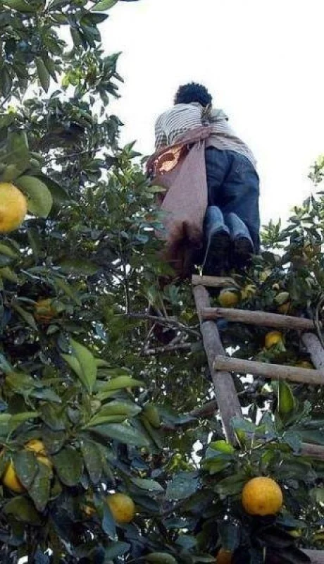 economias-regionales-1000x600-jpg.