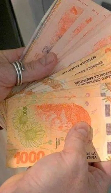 bono-refuerzo-ingresos-anses-jpg.