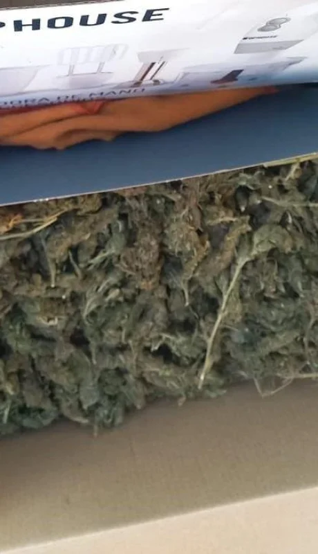 1651881453796marihuana-jpg.