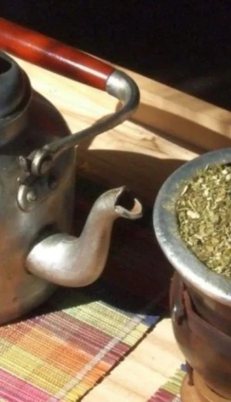 yerba-mate