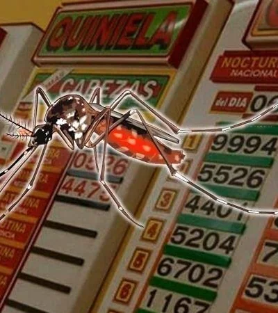 mosquitos-quiniela-numero-suerte-tabla-suenos-insectos-jpeg.