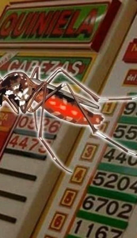 mosquitos-quiniela-numero-suerte-tabla-suenos-insectos-jpeg.