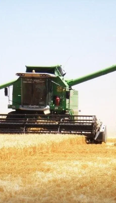 campo-argentino-decreto-impuestos