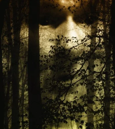 diseno-sin-titulo-png.