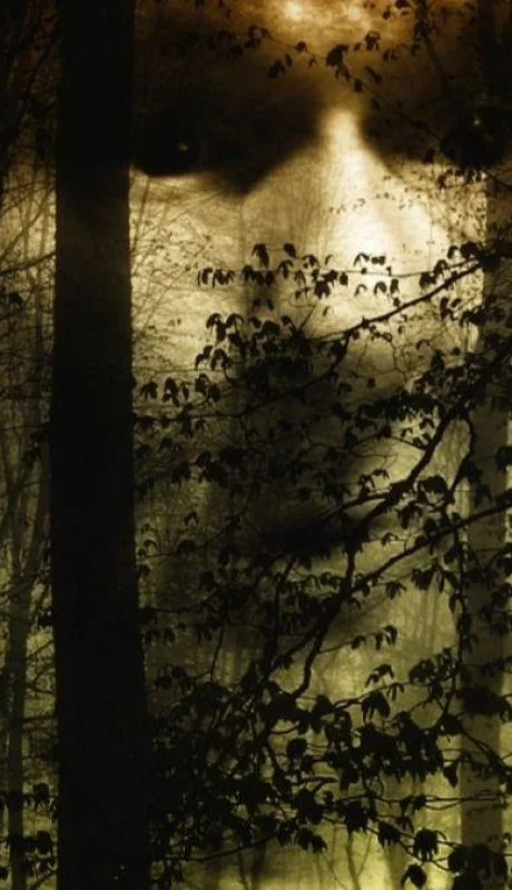 diseno-sin-titulo-png.