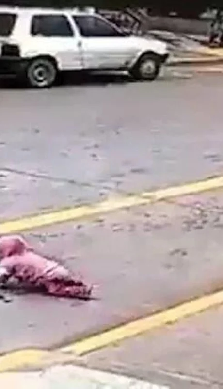 tmo6nvzkl5axjhlh2og4c3nwga-jpg.