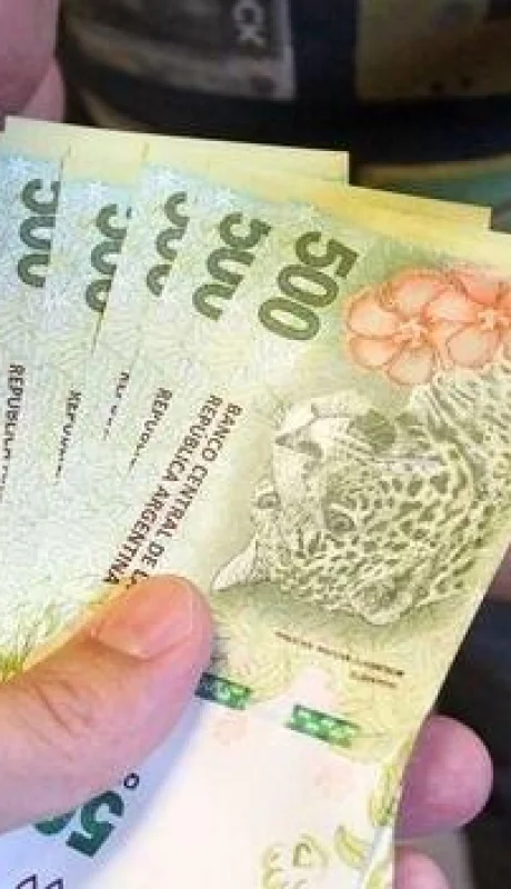 cobro-refuerzo-de-ingreso-jpg.