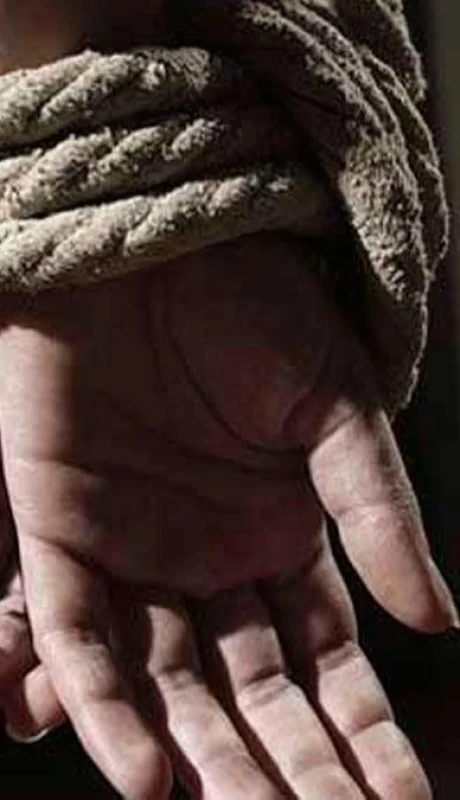 secuestros-extorsivos-argentina-cifras-hoy-2020-2