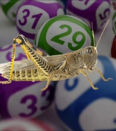 grillo-quiniela-tabla-suenos-suerte-numeros-jpg.