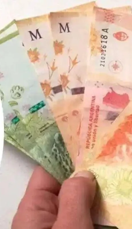 suplemento-excepcional-2022-jpg.