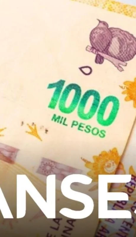 cobro-anses-junio-2022-png.