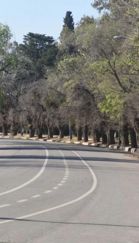 mendoza-la-restriccin-a_700477