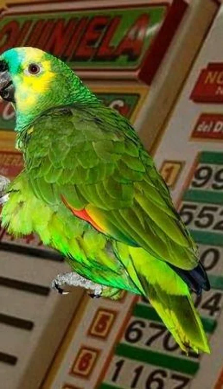 quiniela-loros-suerte-numero-suenos-tabla-jpg.