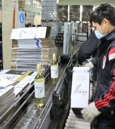 trabajo-bodega-vino-jpeg.