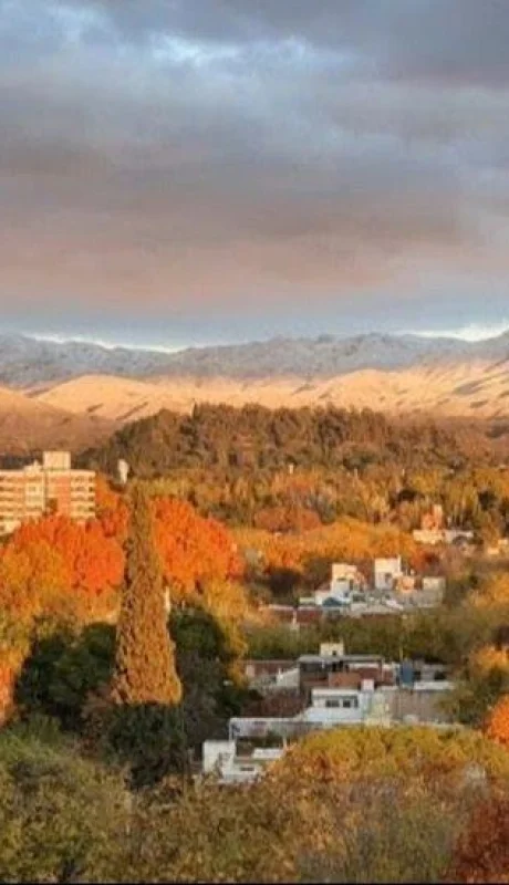 d7e35d40-10d6-45f2-9d25-004e018ece5a-jpeg.