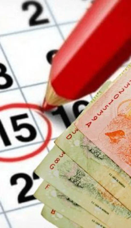 por-que-no-cobre-anses-png.