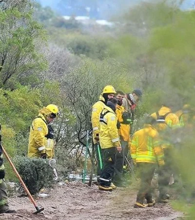 guadalupe-lucer-busqueda-jpg.