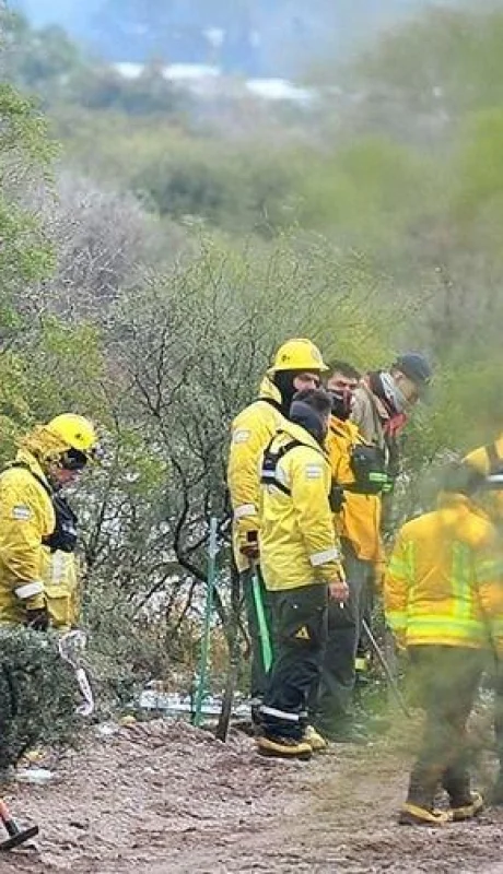 guadalupe-lucer-busqueda-jpg.