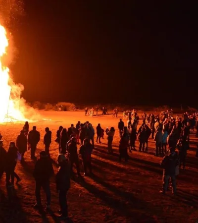 991c88d7-9f06-4ec8-8d16-64a0cb1ad10e-jpg.