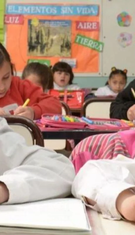 primaria-1024x479-jpg.