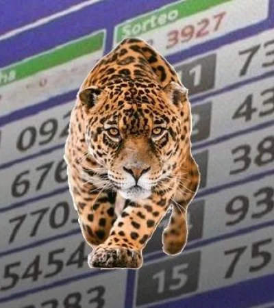 jaguares-quiniela-tabla-números-suerte-sueños