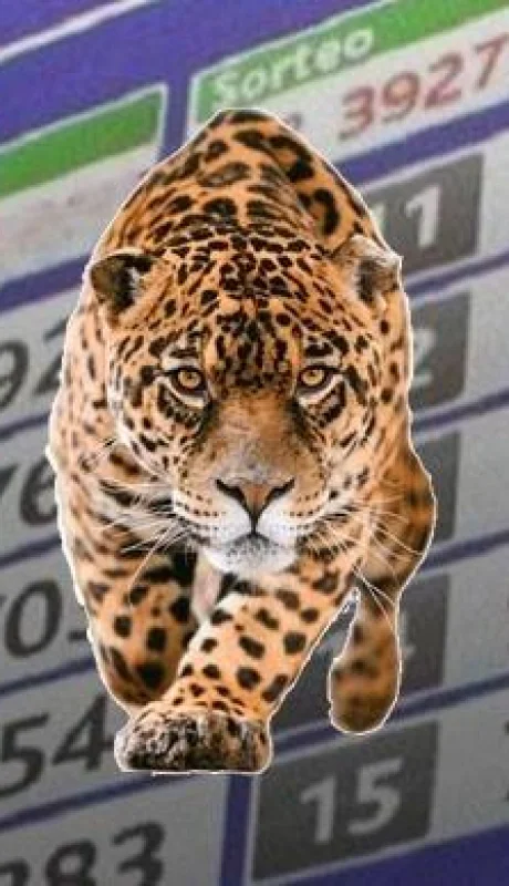 jaguares-quiniela-tabla-números-suerte-sueños
