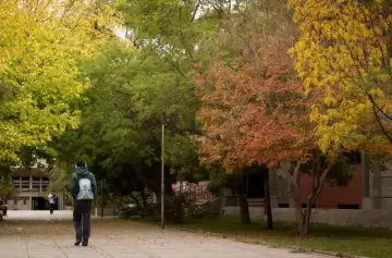 La ola polar se retira y le da paso a las lluvias y neblinas en Argentina
