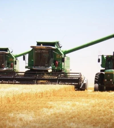 campo-argentino-decreto-impuestos