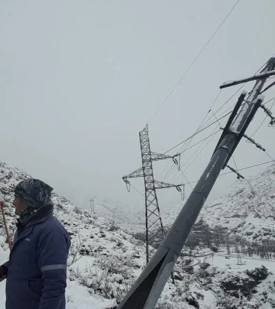 edemsa-tormenta-poste-jpeg.