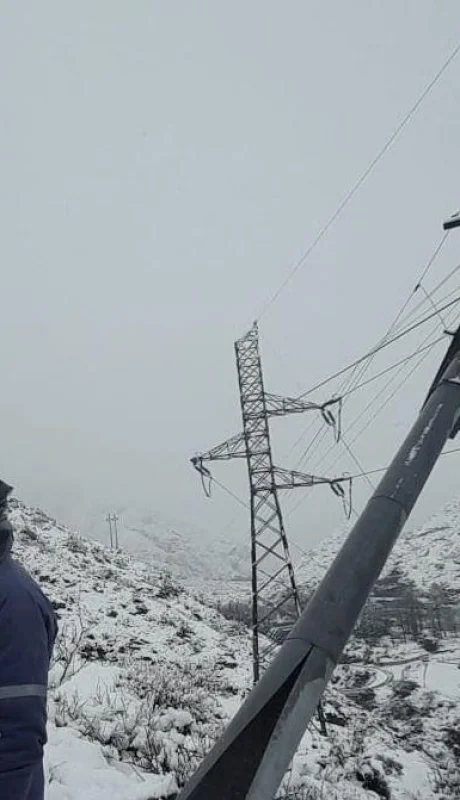 edemsa-tormenta-poste-jpeg.