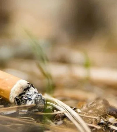 colilla-cigarrillo-jpg.