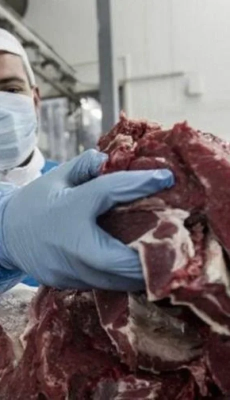 6200ea5c361bd-900-jpg.