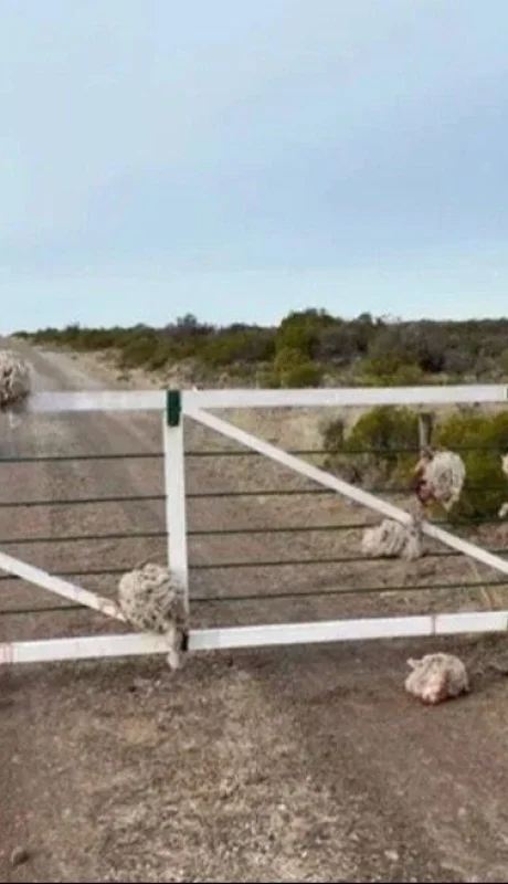 c0781f87-1348-4206-b11d-40e2113a958f-jpeg.