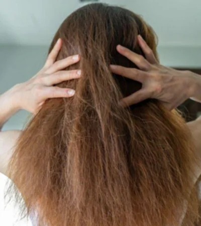 pelo-invierno-3-1024x576-png.