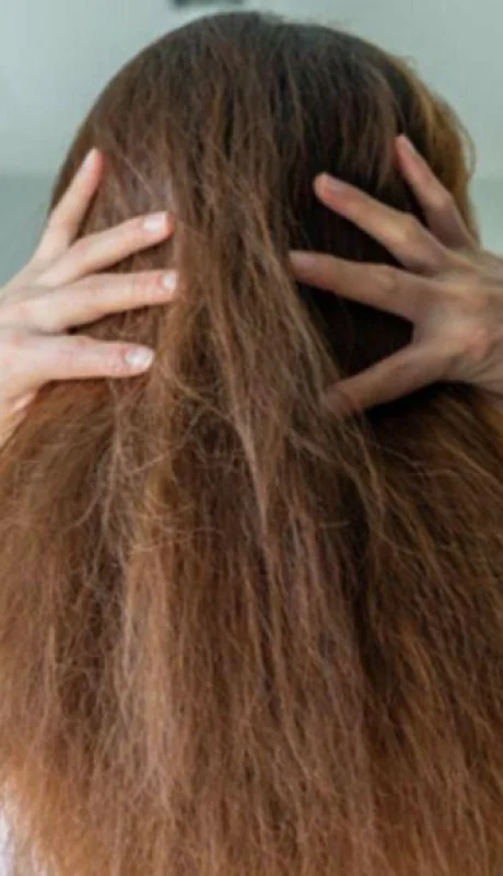 pelo-invierno-3-1024x576-png.