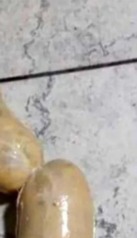 chorilenta-argentina-comieda-pobreza-rosario-png.