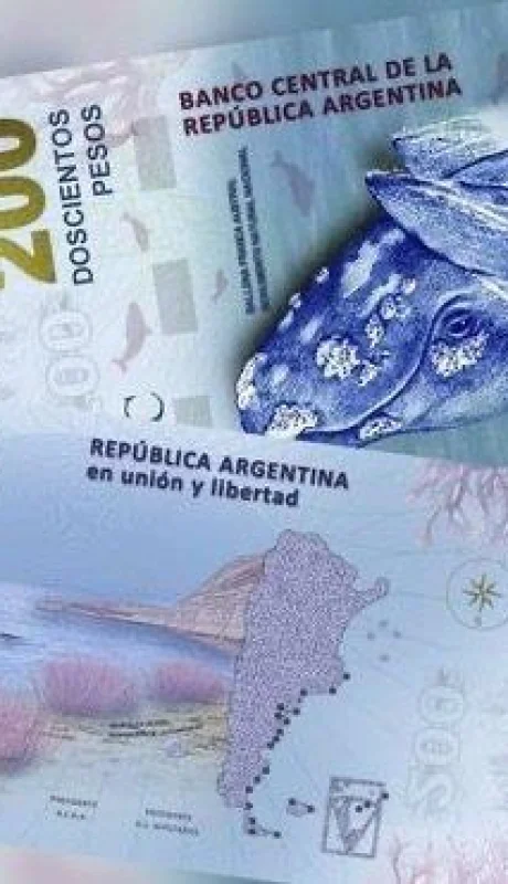 42fcdd59-004b-4393-bc1a-8573c8d7bc1e-jpeg.