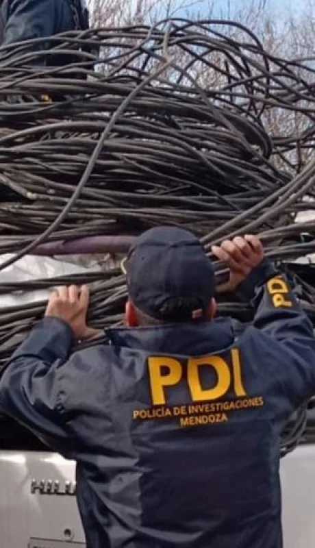 bb0f73e5-a97c-49ab-8edf-c7a240e08736-jpg.