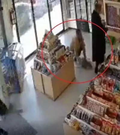 perro-video-buenos-aires-robo-recoleta-asalto-png.