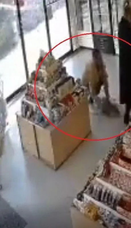 perro-video-buenos-aires-robo-recoleta-asalto-png.