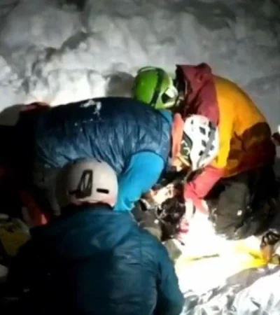 perro-tango-avalancha-rescate-png.