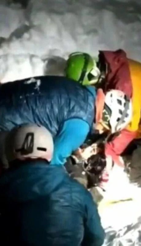 perro-tango-avalancha-rescate-png.