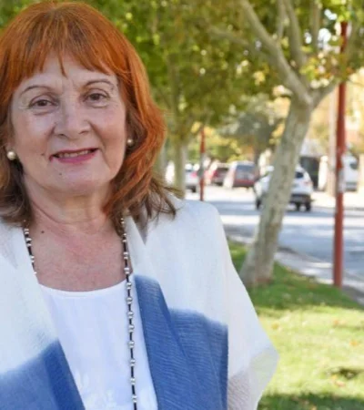 graciela-landriscini-kirchneristas-diputados-png.