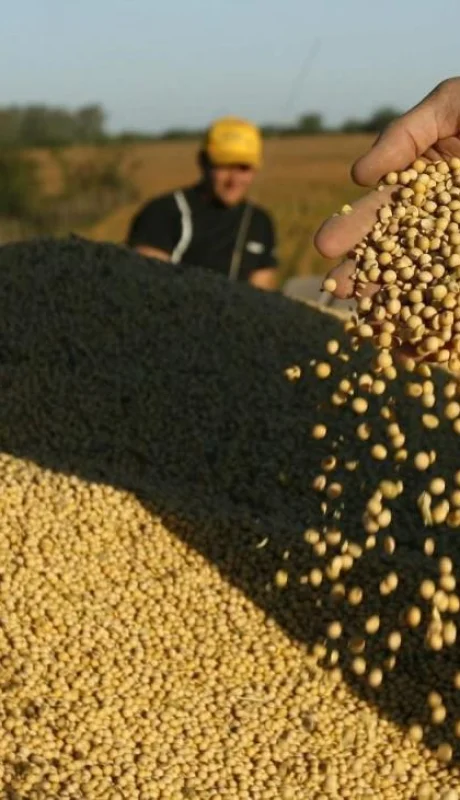 soja-impuestos-argentina