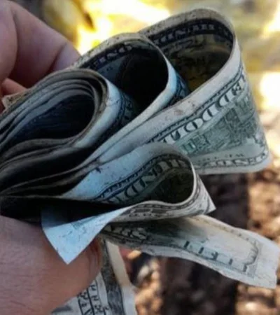 dolares-video-foto-basural-png.