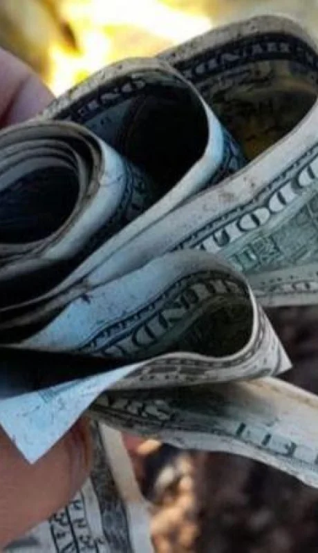 dolares-video-foto-basural-png.