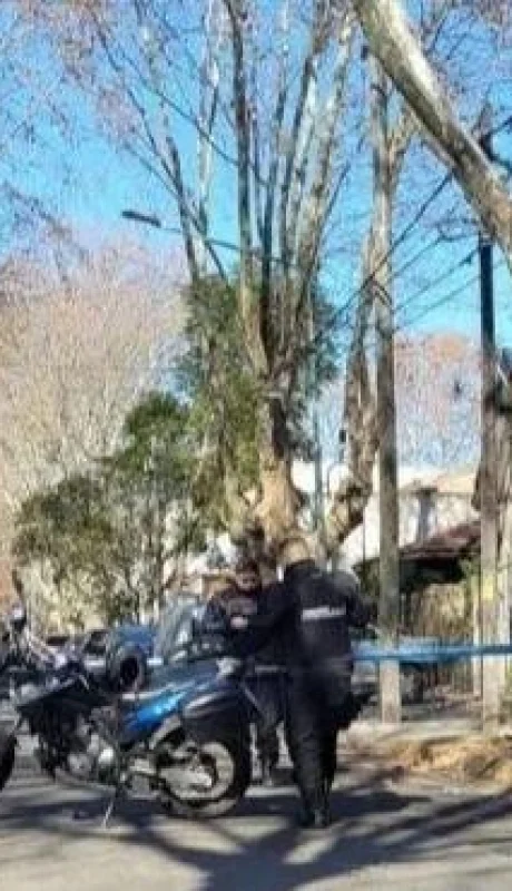 femicidio-vicente-lopez-jpg.