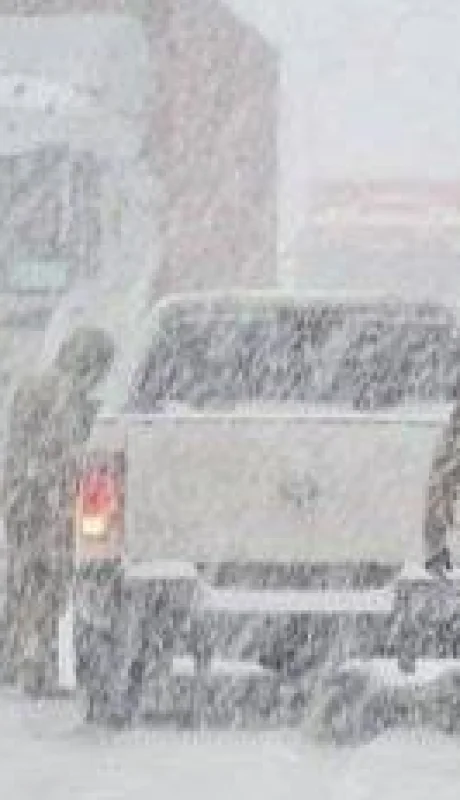 f1bf662a-000a-44cf-999d-75937e077fd5-jpeg.