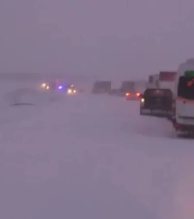 a6159be8-d05d-4dda-af07-a08828ac6317-jpeg.