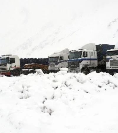 62caf68a238ce-900-jpg.